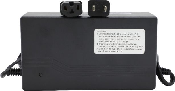 Charger - 48V, 2.5A, T-Prong Plug with C13, Lithium - CHG4825TLF1