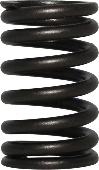 Valve Spring - XY1100, Chironex 1000cc, 1100cc - 20A2192 - PBC1686F1