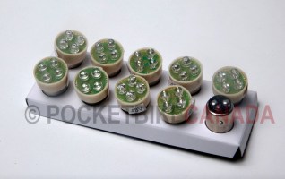 LED Bulb Set Qty. 10 Rear Tail Lamp for 500w, PB710, Scooter - G3000089